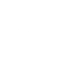 Revitalizing Nourishment