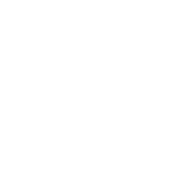 Stream: True Charged Strike