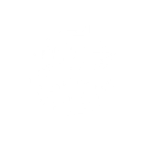 Four-Star Wanted Level