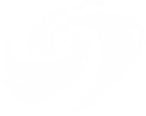 Spiral Vortex