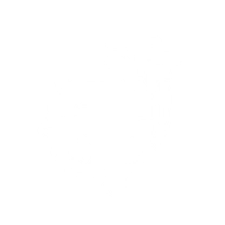 Sigil Unleashed: Tiger of the East