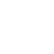 Lightning Lance Dance