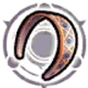 Omni's Metal Headband
