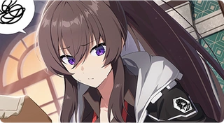 Experienced Mercenary