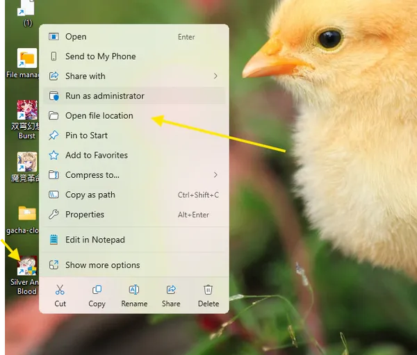 Step 1: Right click Silver and Blood game icon and select open folder location to access game directory