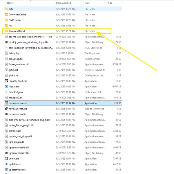 Step 2: Silver and Blood game directory showing multiple files that need to be deleted except SilverAndBlood folder