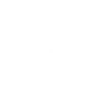 Forest Princess' Blessing