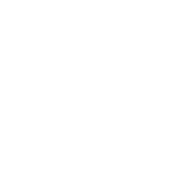 Tall Tree Attracts Wind