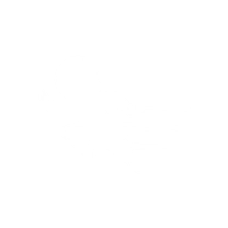 Tall Tree Attracts Wind