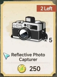 Reflective Photo Capturer