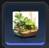 Terrarium
