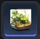 Terrarium