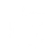 Thunder Palm icon